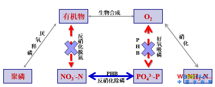 從幾個(gè)常見(jiàn)現(xiàn)象談污水處理廠設(shè)計(jì)和運(yùn)行的精細(xì)化問(wèn)題